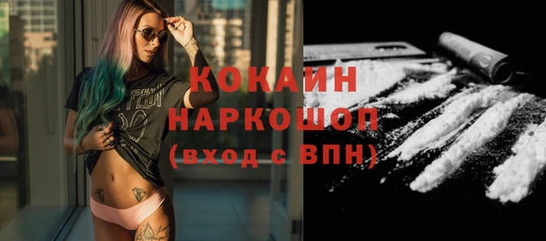 прущие грибы Аркадак