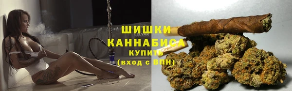 сатива Алексин