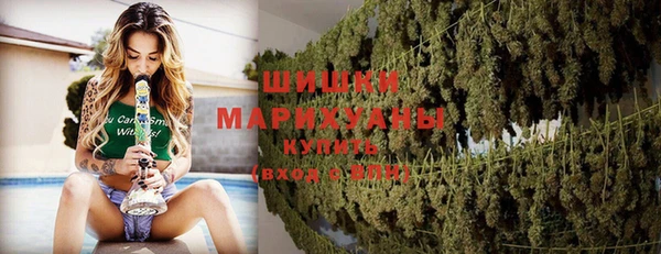 молекула духа Арсеньев
