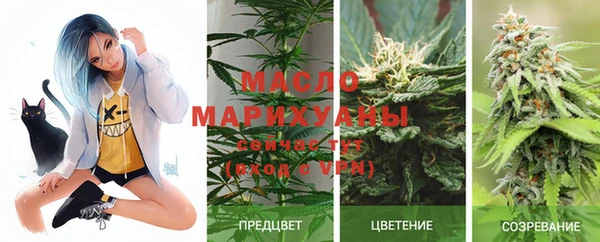 прущие грибы Аркадак