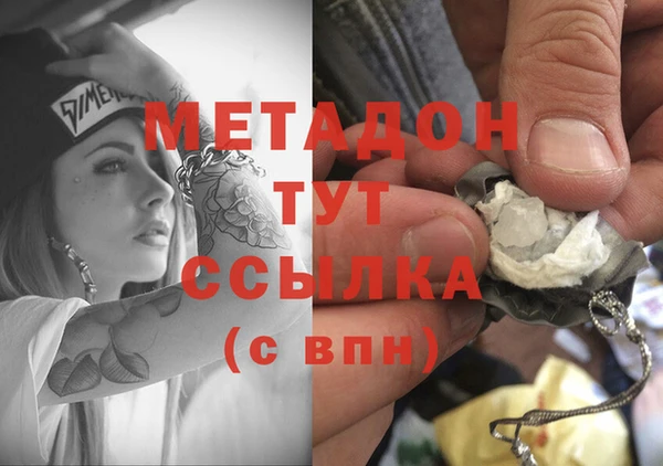прущие грибы Аркадак