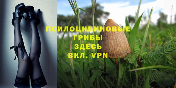 дживик Алексеевка