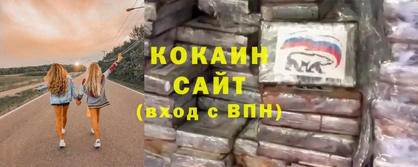 прущие грибы Аркадак